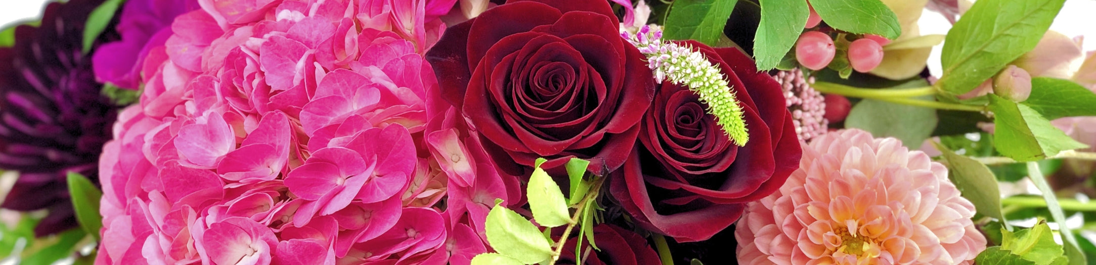 Love & Anniversary