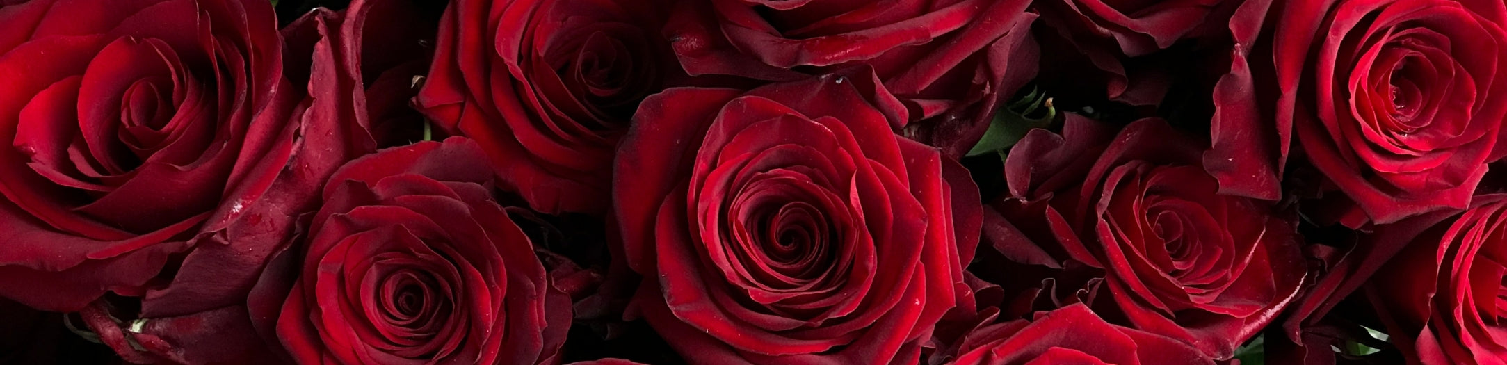 Valentine's Day