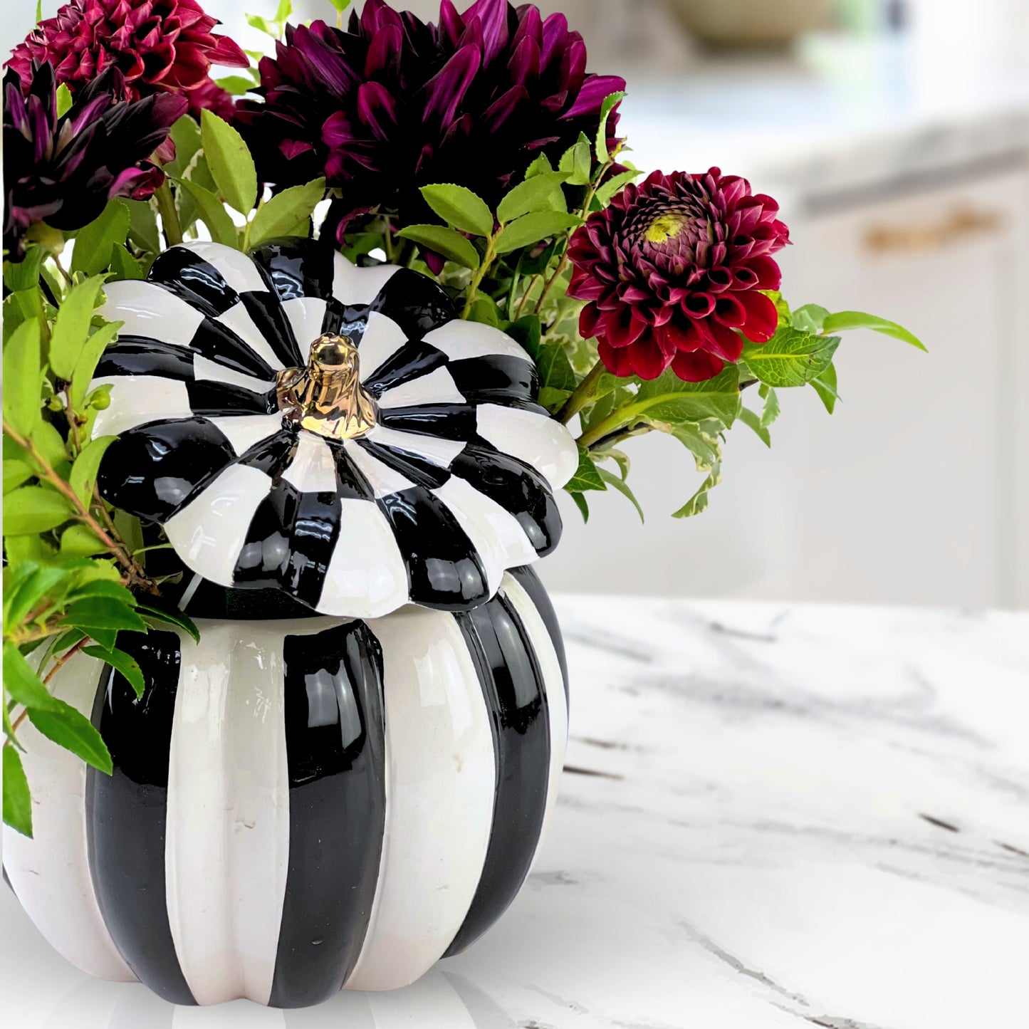 black magic dahlias