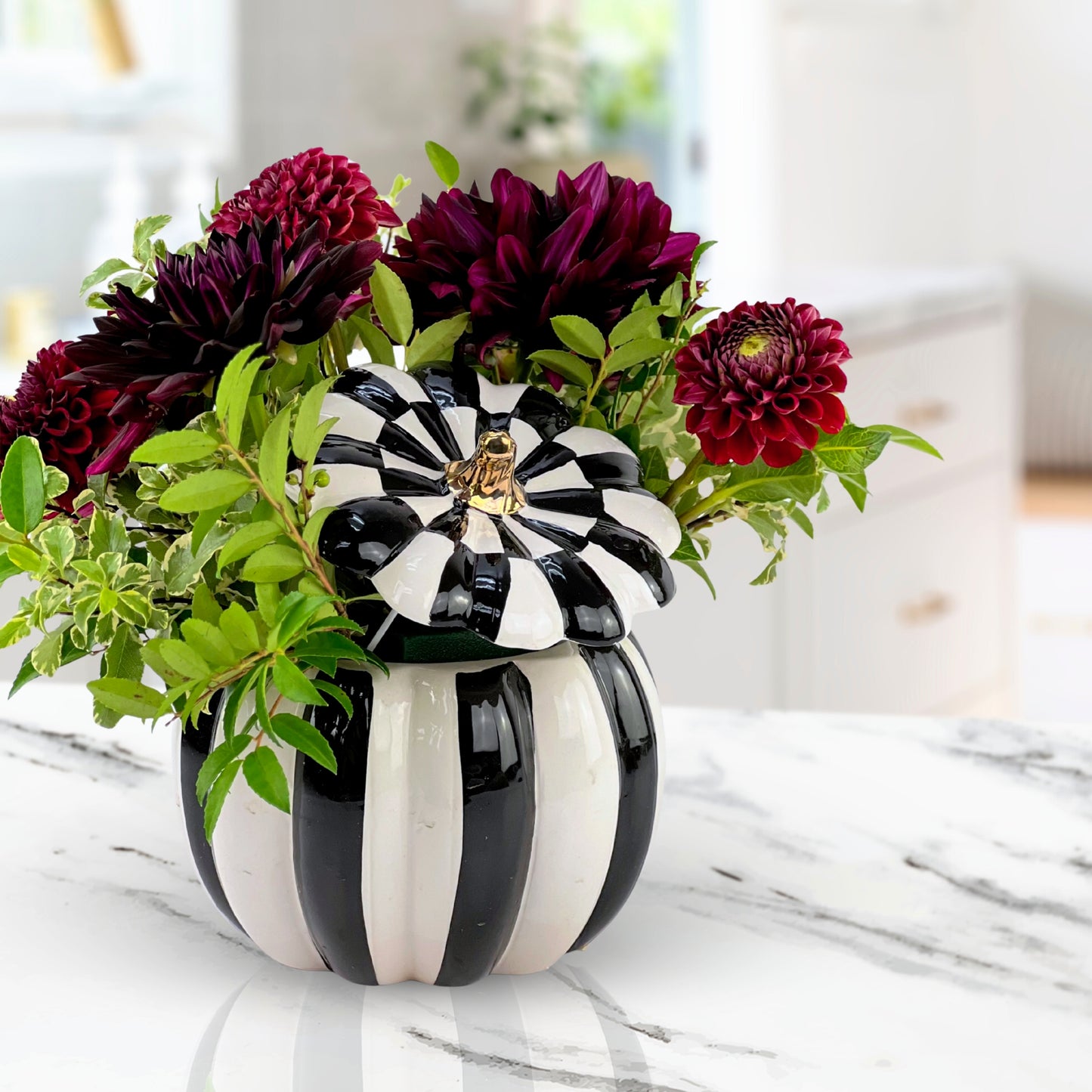 black magic dahlias