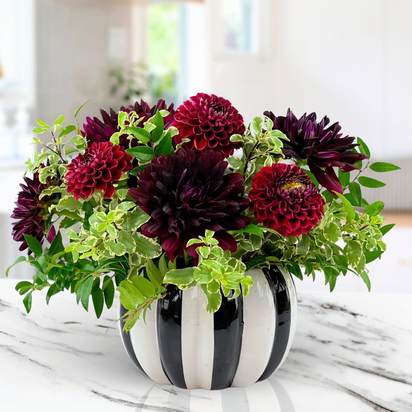 black magic dahlias
