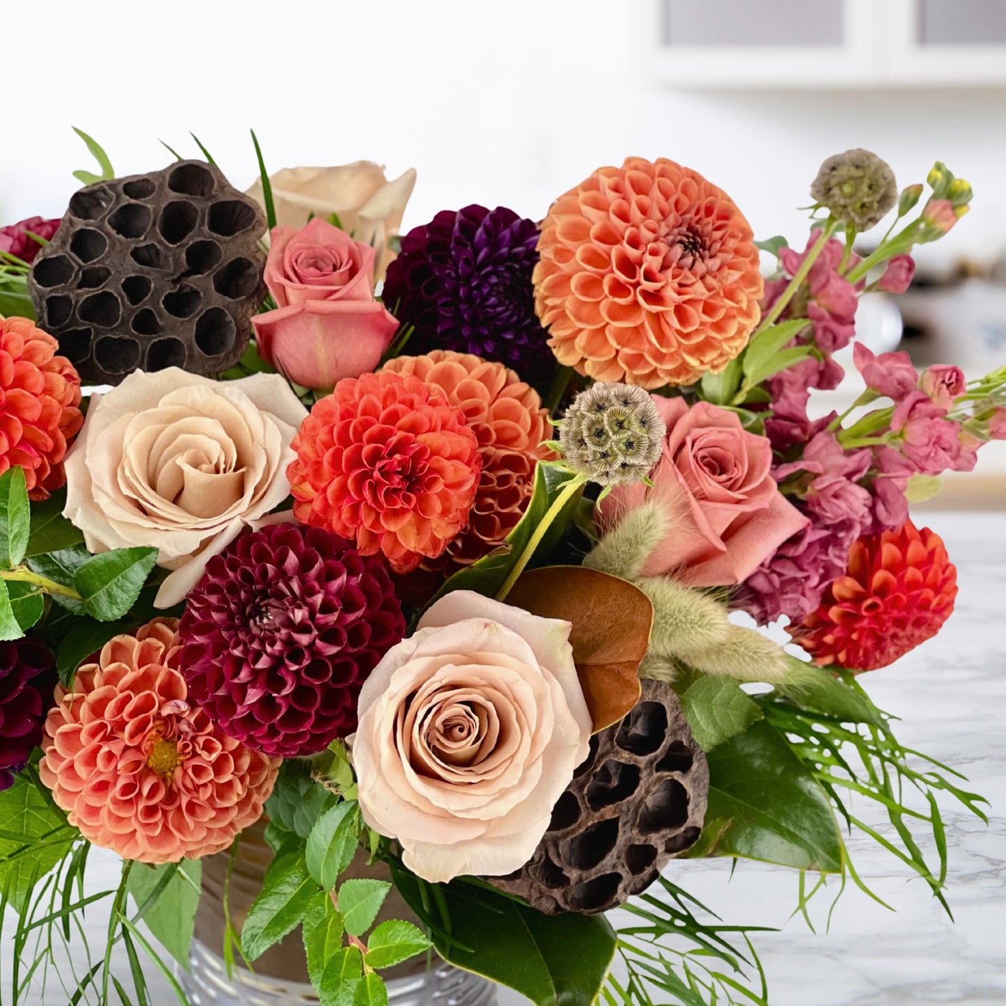 hickory hollow dahlias