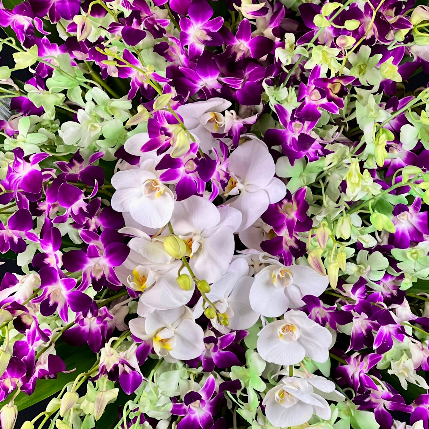 infinite orchid - sympathy standing spray