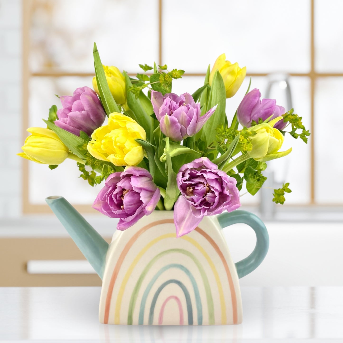 over the rainbow tulips