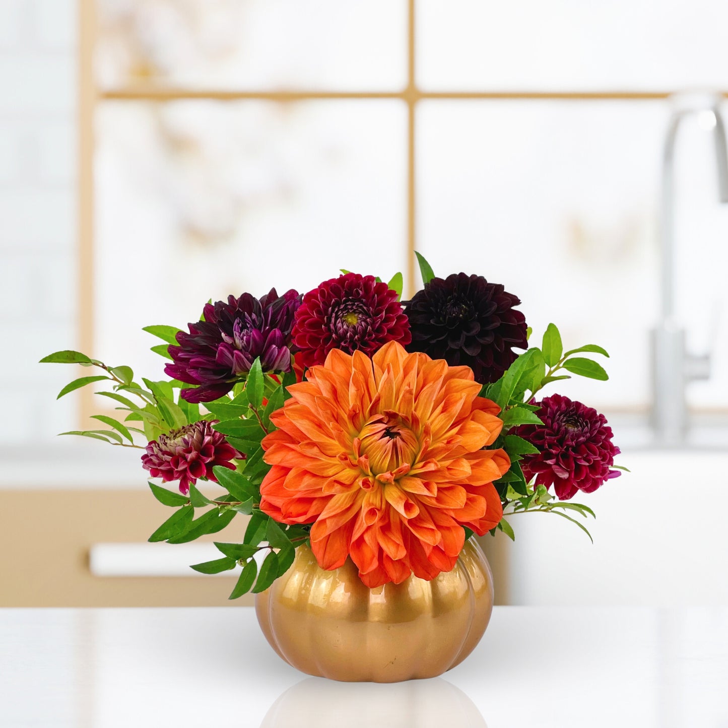 pick-me-up pumpkin dahlias