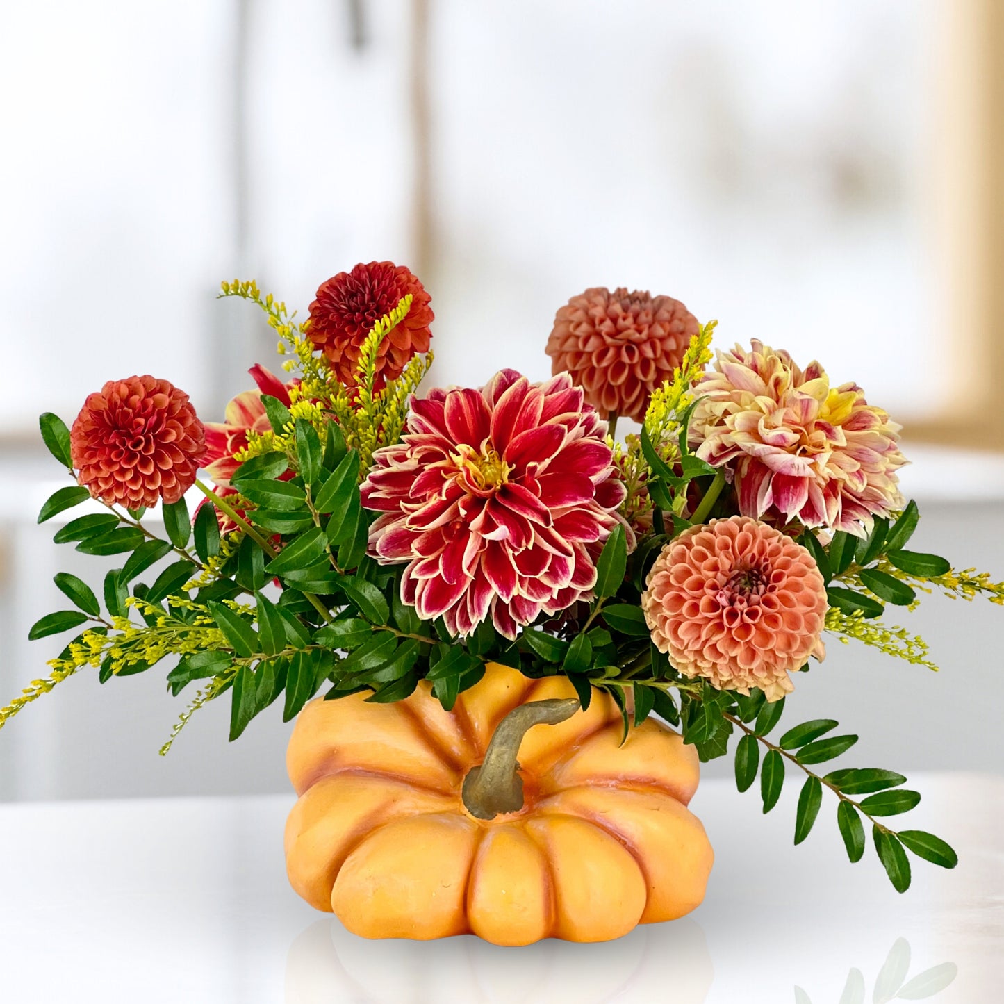 pick of the patch dahlias