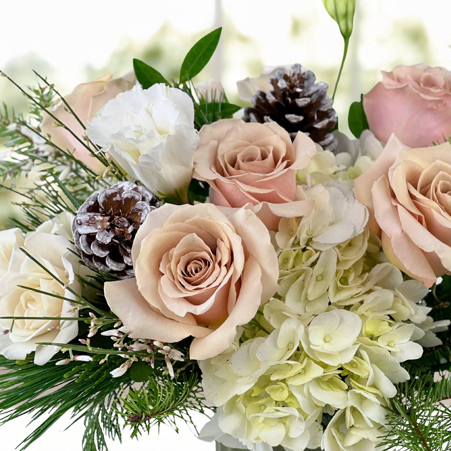 scents of the solstice