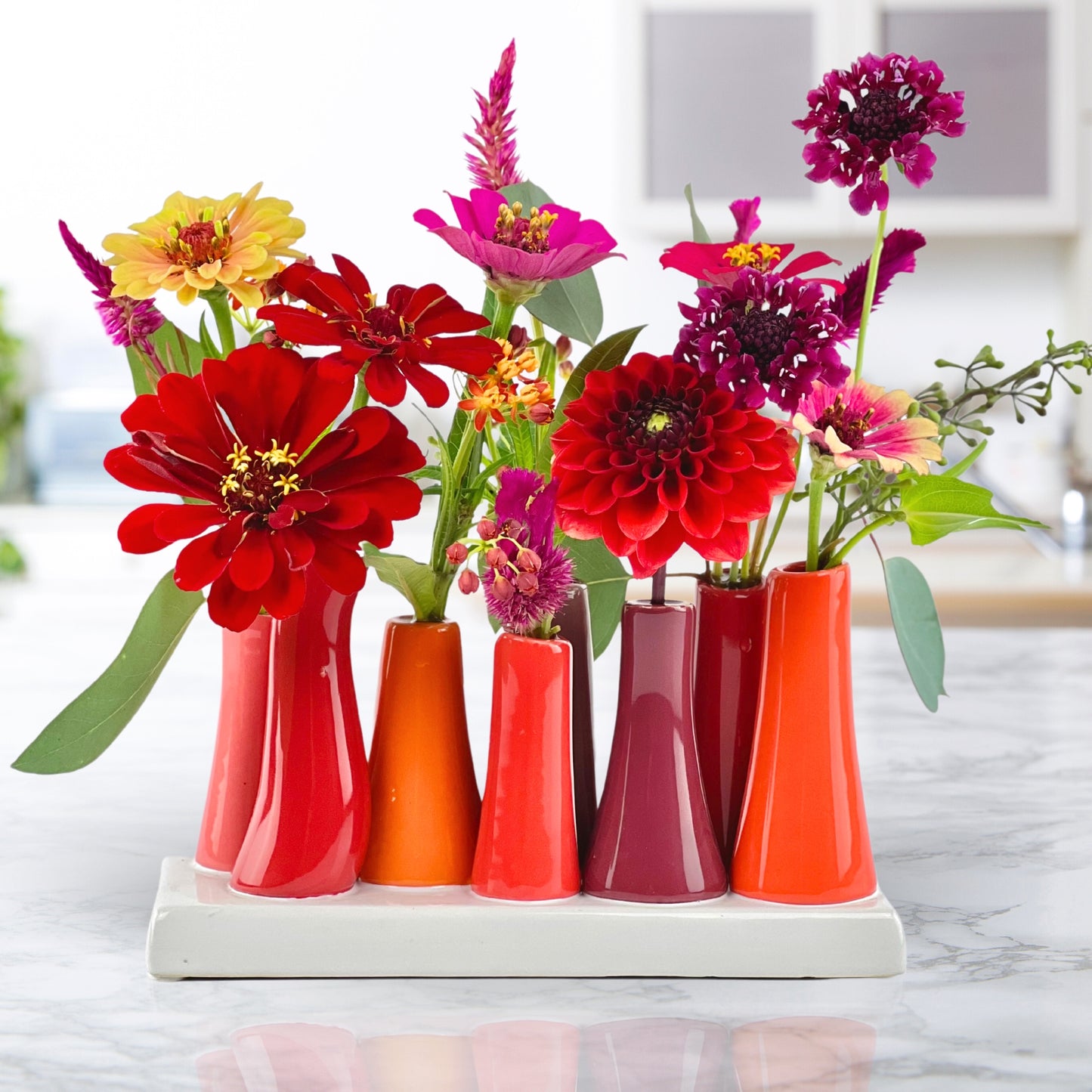 color pop bud vases