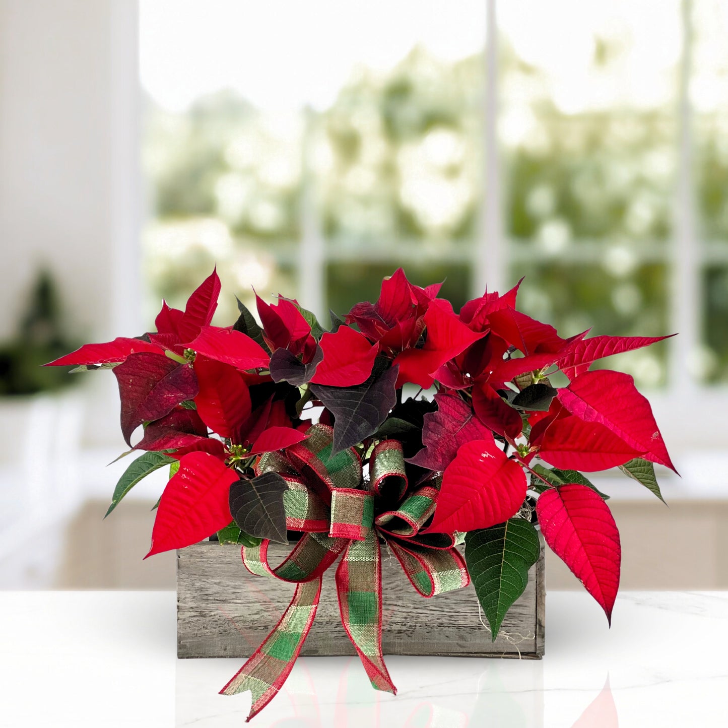 yuletide charm - mini poinsettia crate