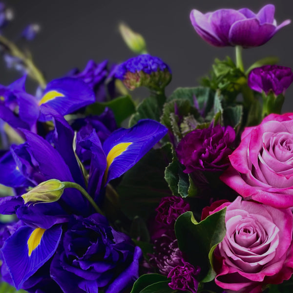 The Ombré Collection