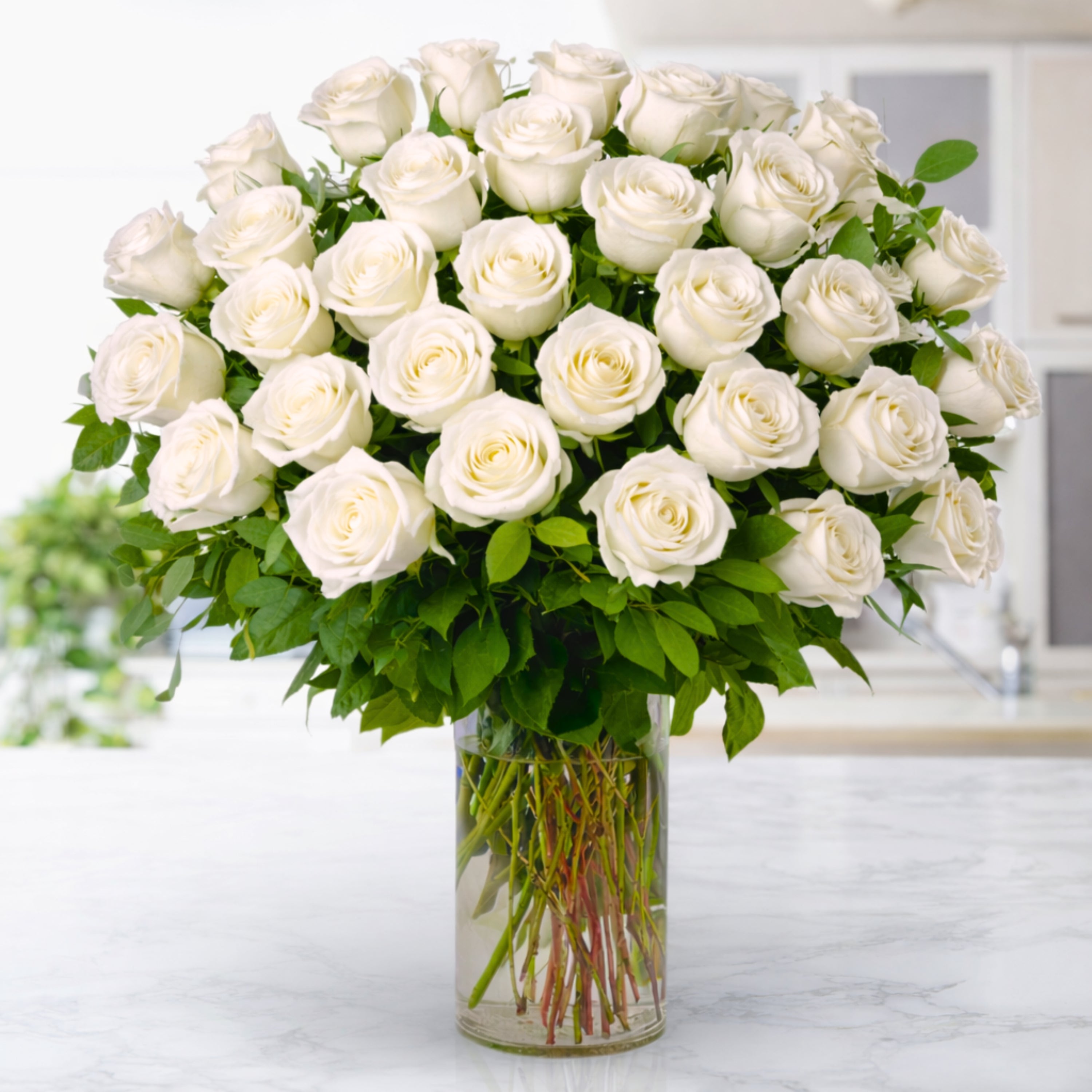 Luxe: 48 Signature Roses – Twinbrook Floral Design