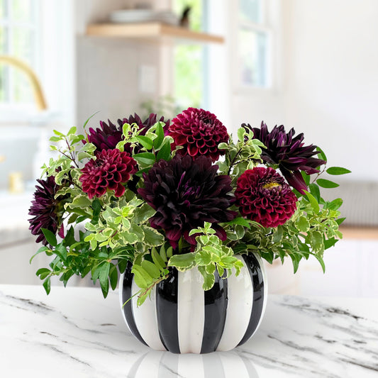 Black Magic Dahlias