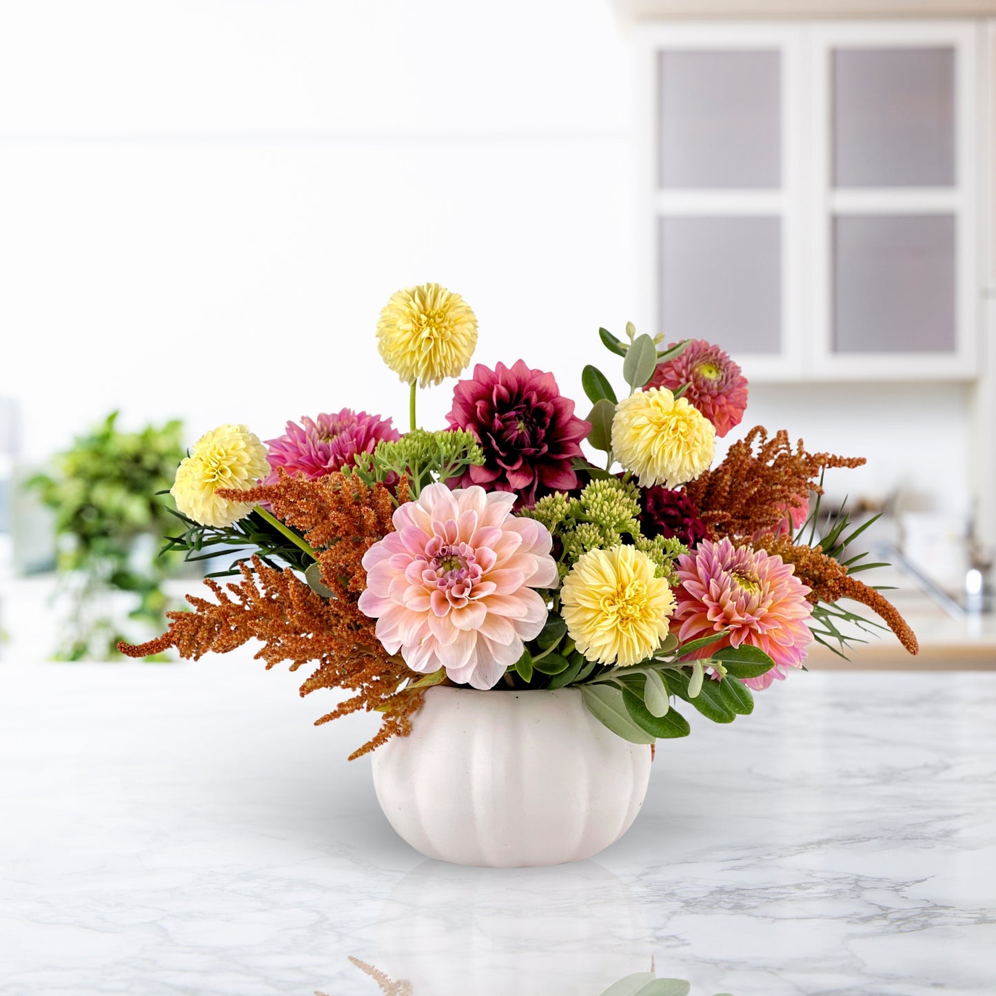 brambleton buckwheat dahlias