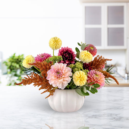 Brambleton Buckwheat Dahlias