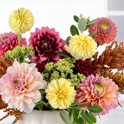 Brambleton Buckwheat Dahlias