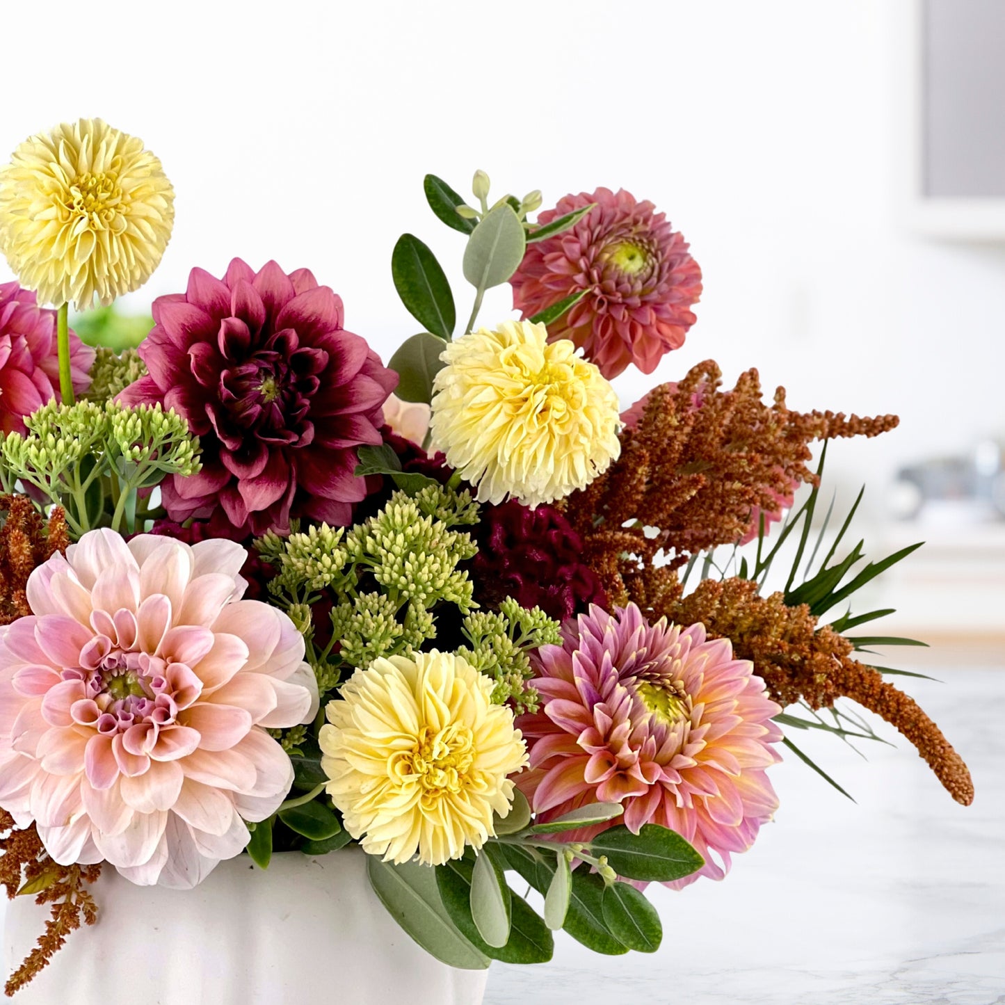 brambleton buckwheat dahlias