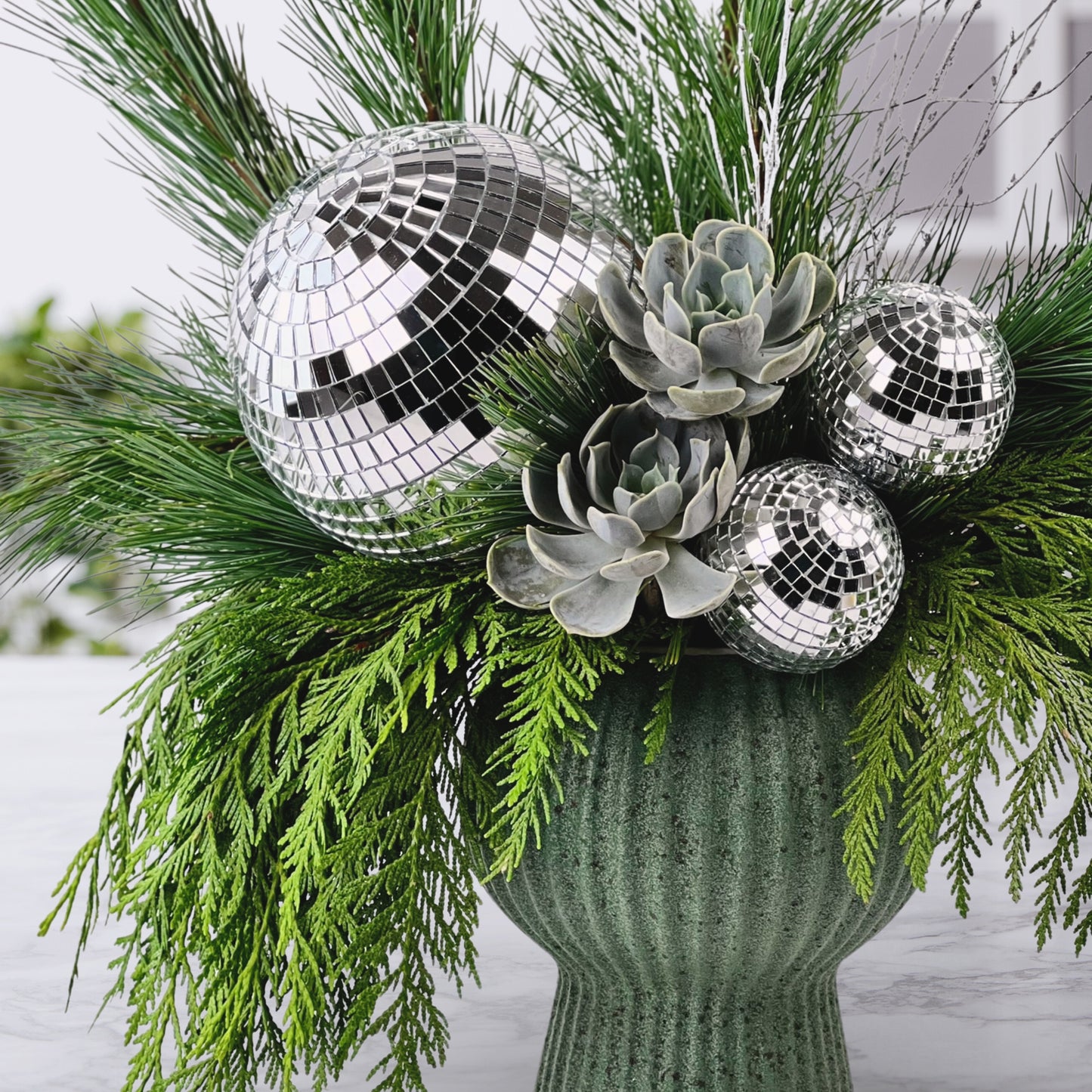 electric evergreen boogie