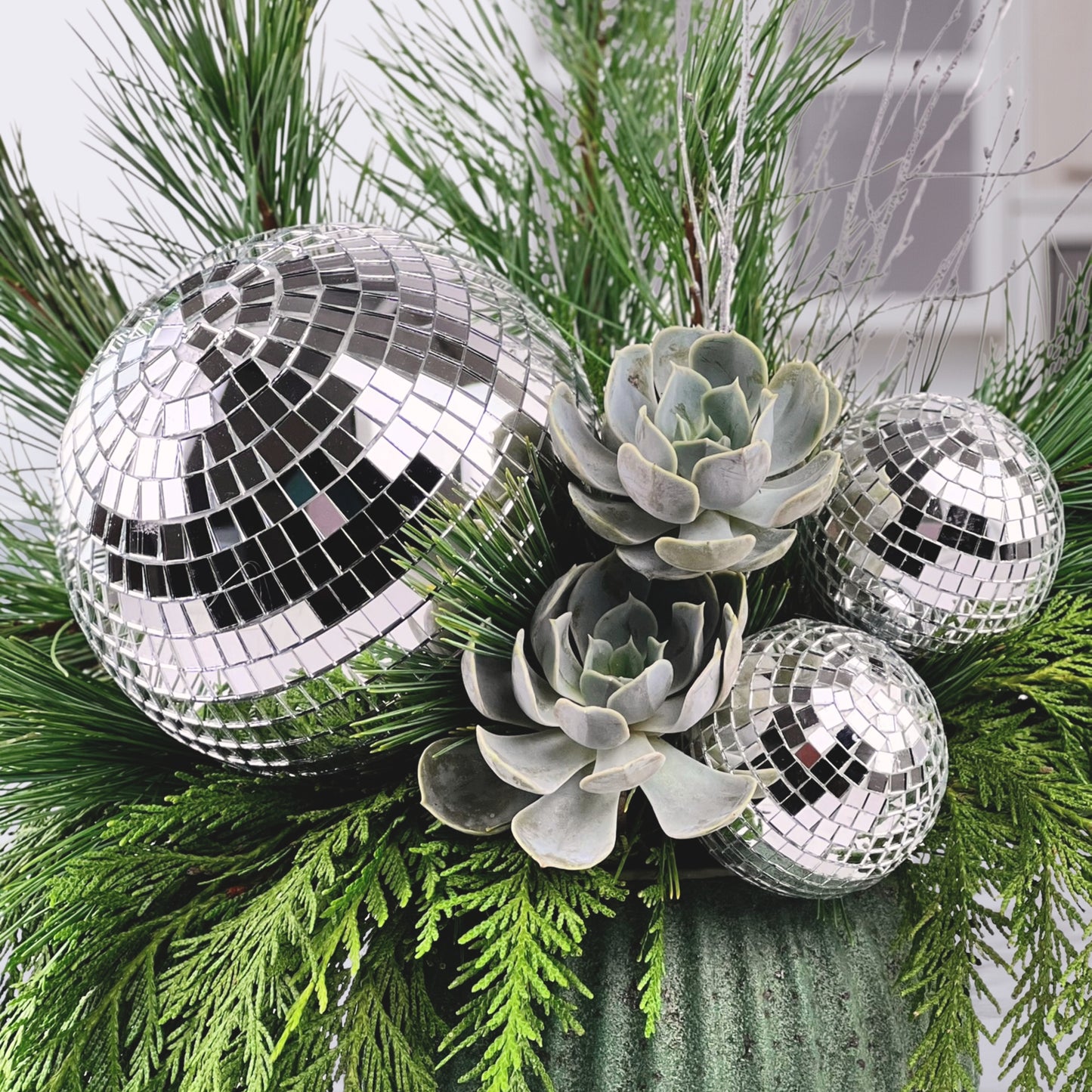 electric evergreen boogie