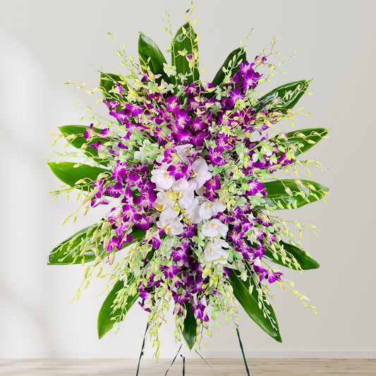 Infinite Orchid - Sympathy Standing Spray