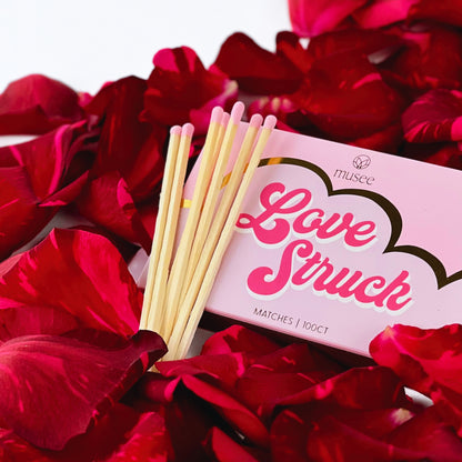 Love Struck - Valentine Bundle