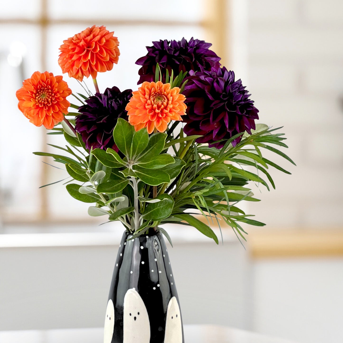 midnight mischief dahlias