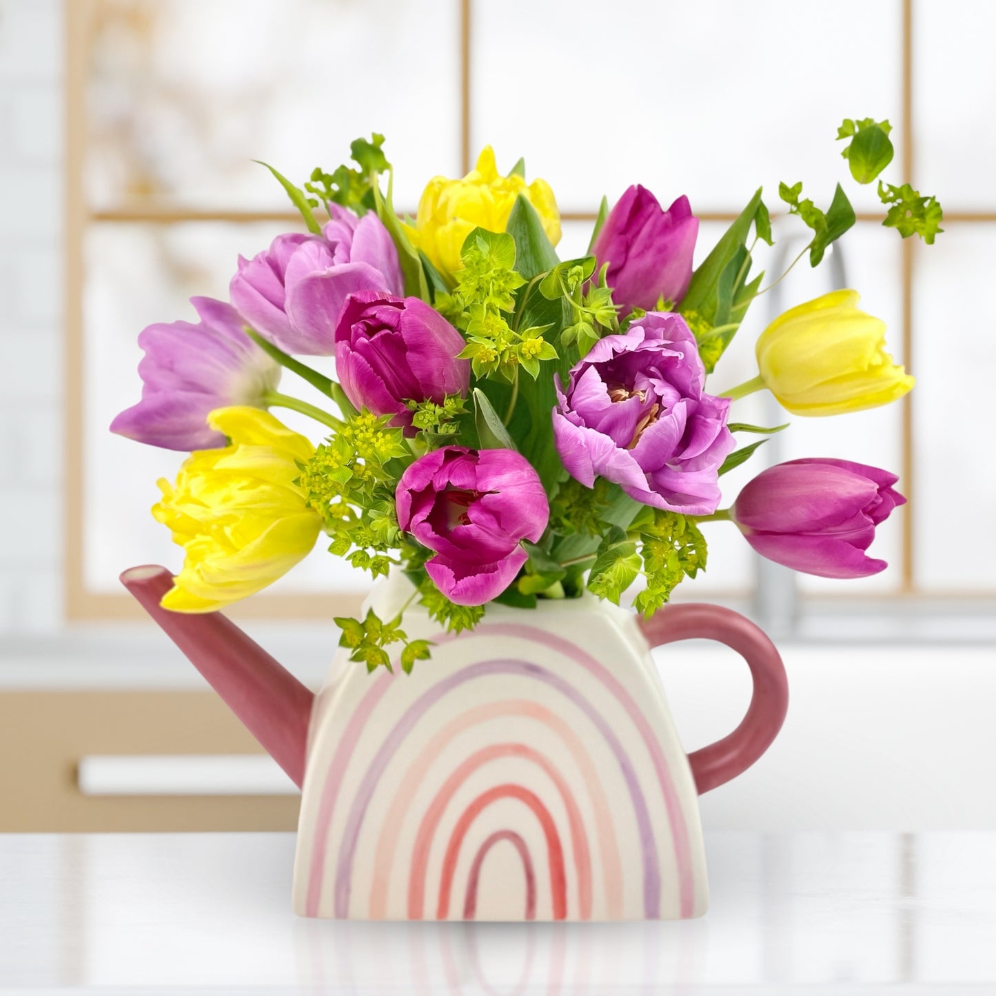 over the rainbow tulips