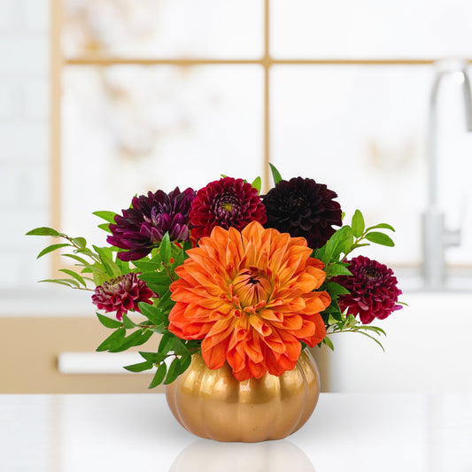 Pick-Me-Up Pumpkin Dahlias
