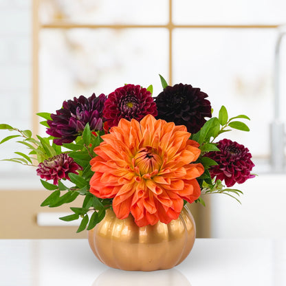 Pick-Me-Up Pumpkin Dahlias