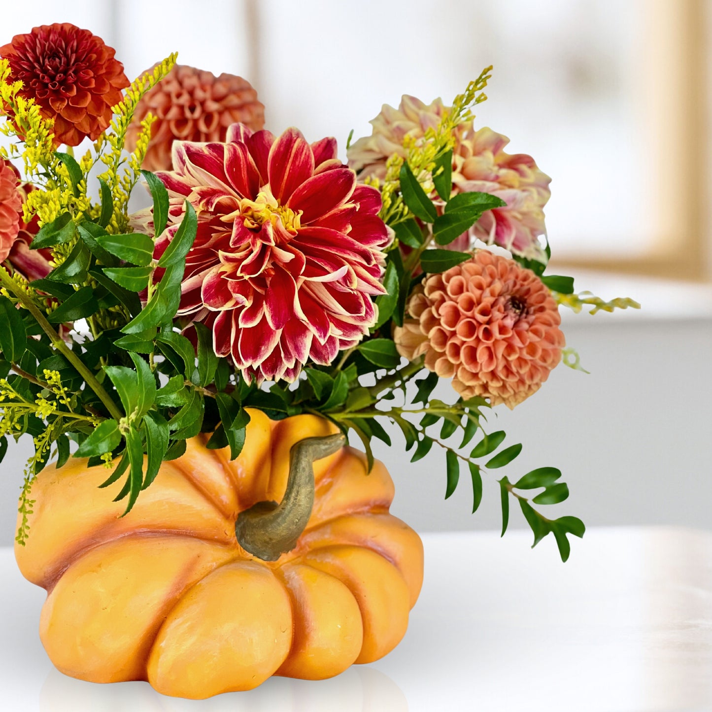 pick of the patch dahlias