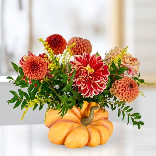Pick of the Patch Dahlias
