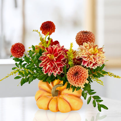 Pick of the Patch Dahlias