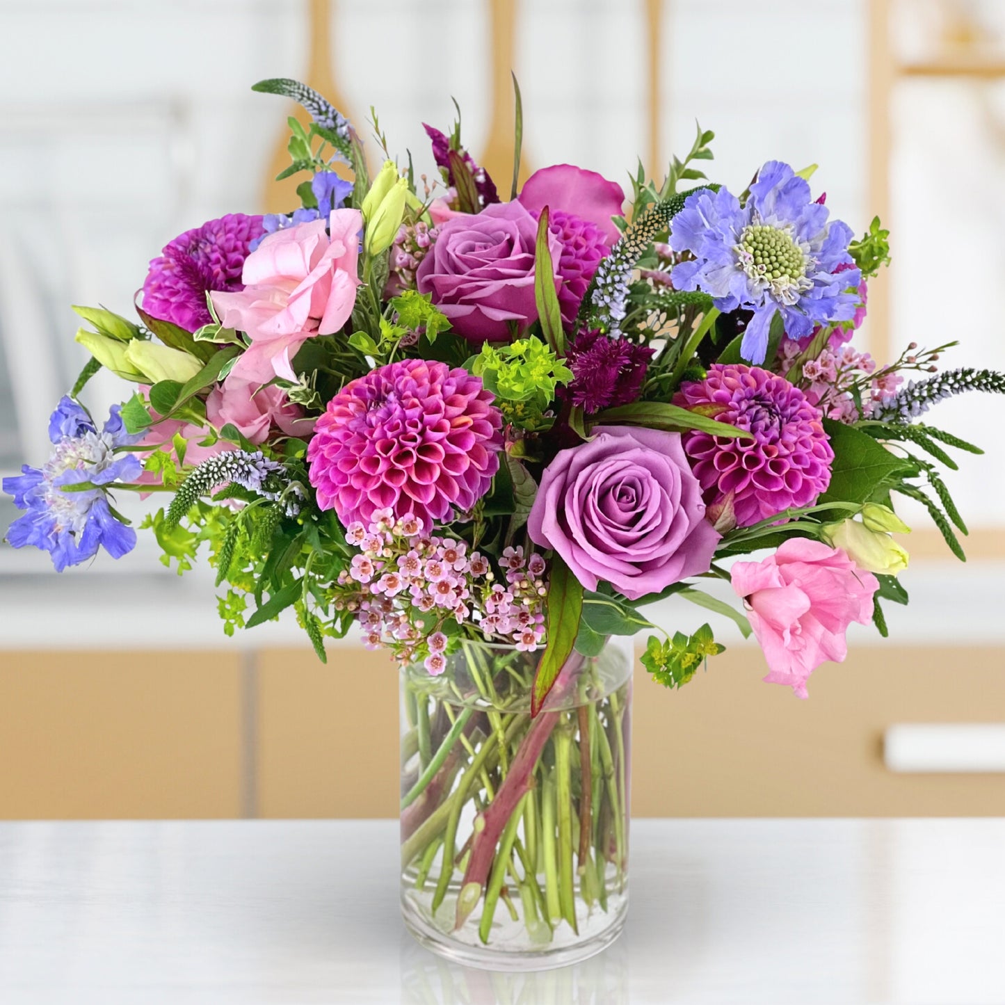 pixie dream girl dahlias