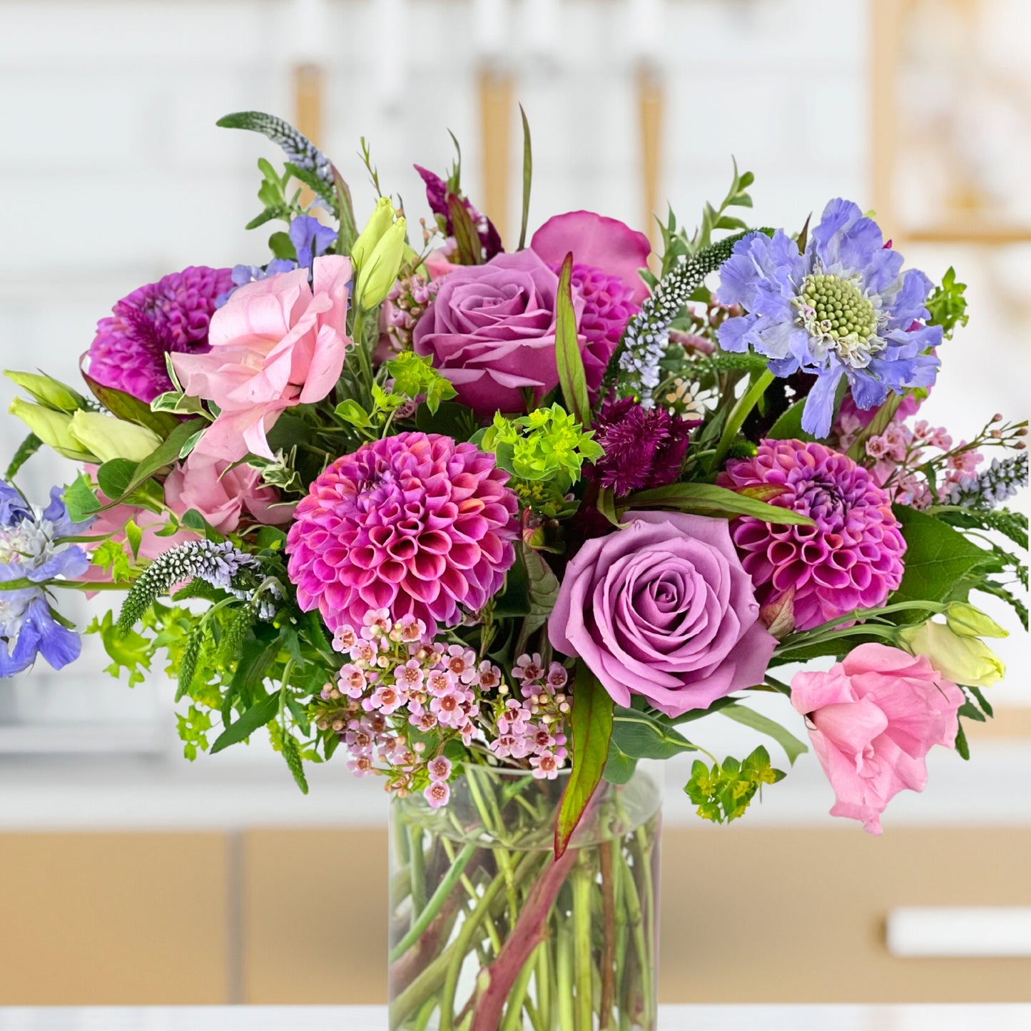 pixie dream girl dahlias