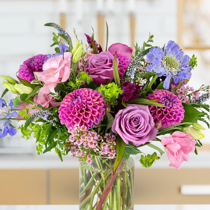 Pixie Dream Girl Dahlias