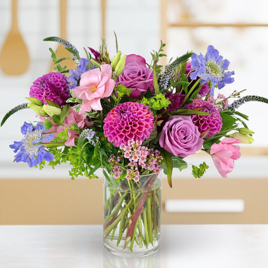 Pixie Dream Girl Dahlias