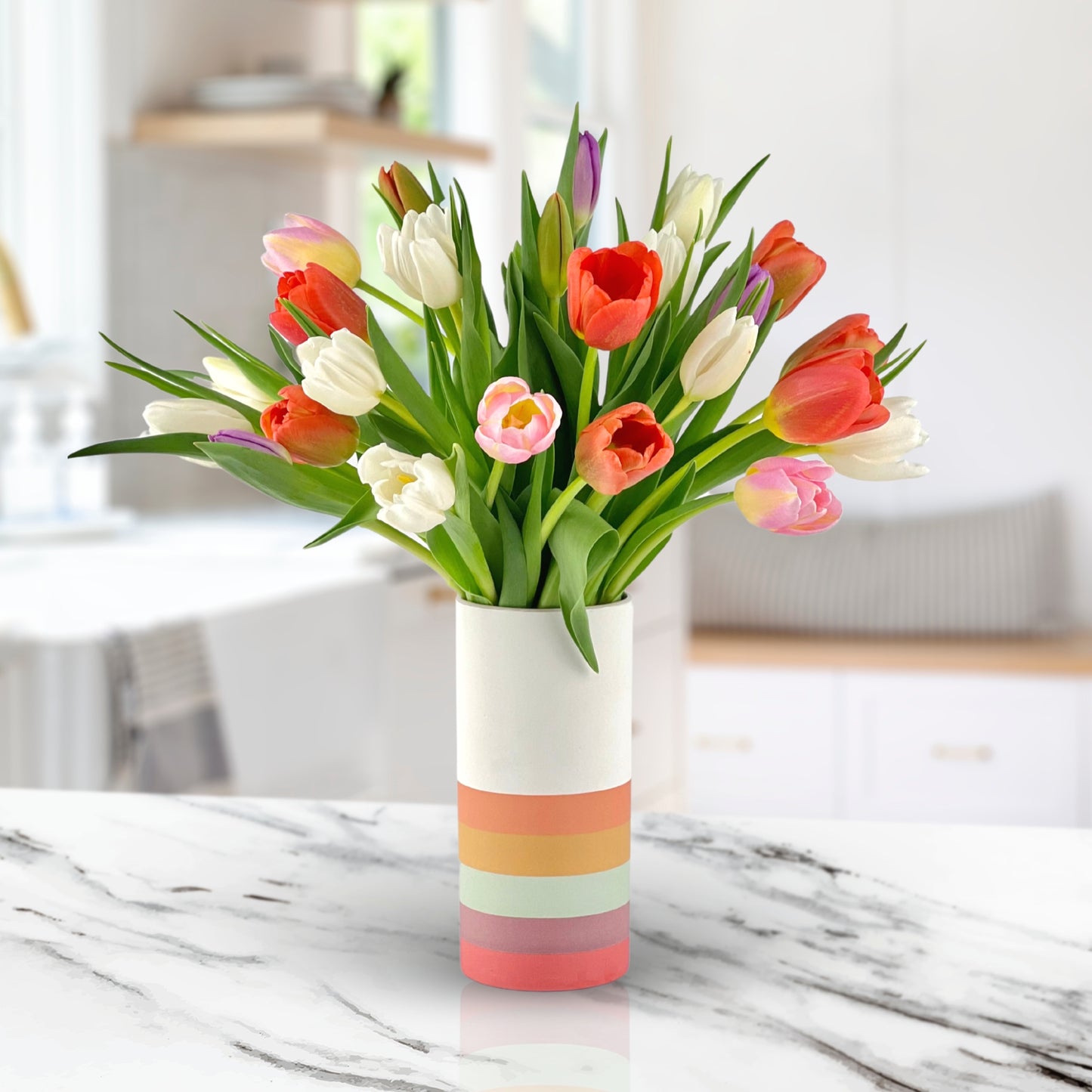 rainbow delight tulips