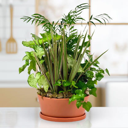 Rust & Root Dish Garden