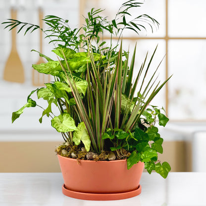 Rust & Root Dish Garden