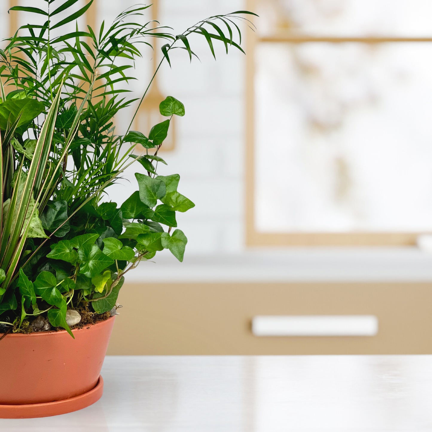 rust & root dish garden