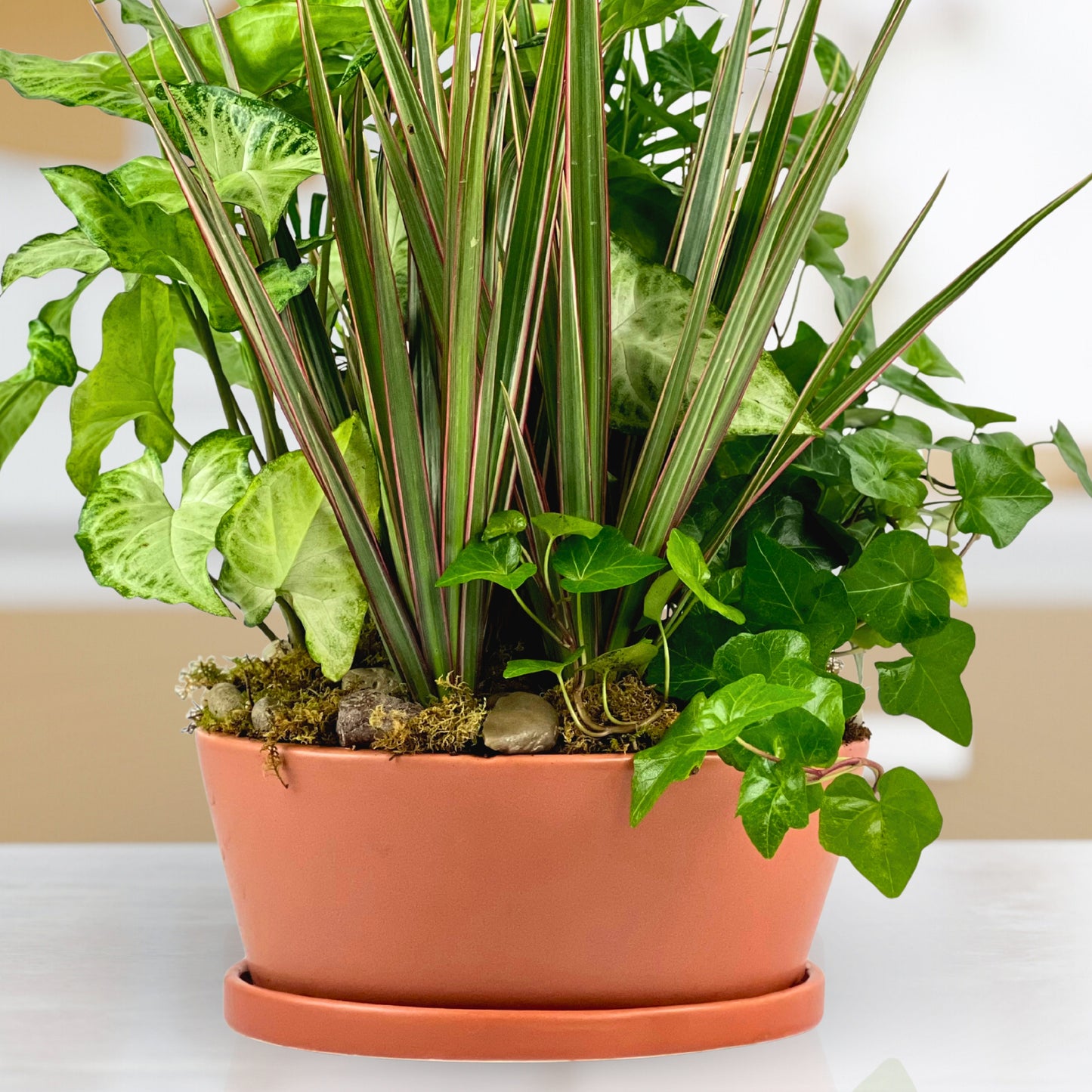 rust & root dish garden