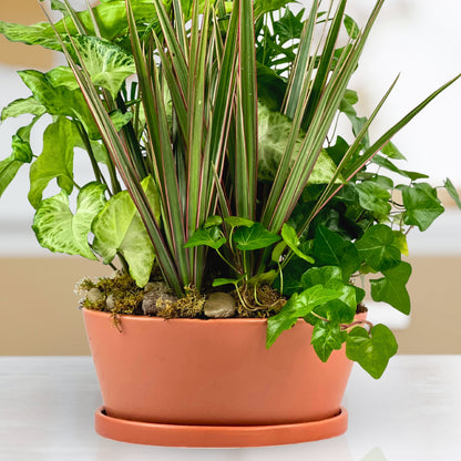 Rust & Root Dish Garden