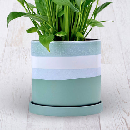 Sage & Solace Sympathy Peace Lily