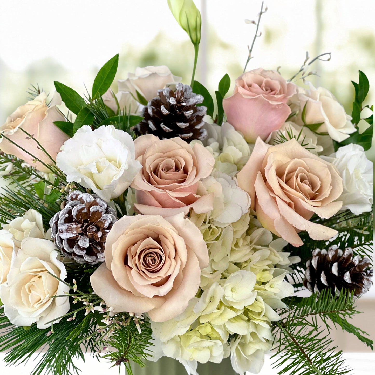 scents of the solstice