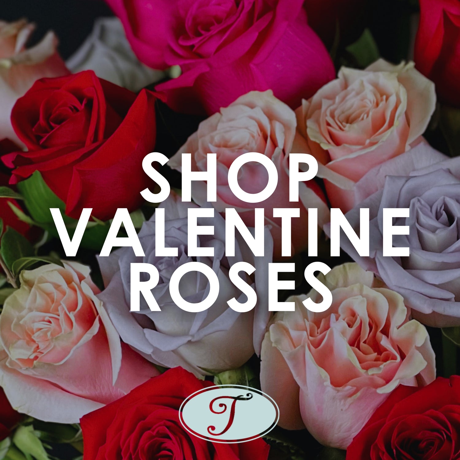 Valentine's Day Roses